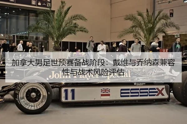 jia-na-da-nan-zu-shi-yu-sai-bei-zhan-jie-duan-dai-wei-yu-qiao-na-sen-jian-rong-xing-yu-zhan-shu-feng-xian-ping-gu-2-404.jpg